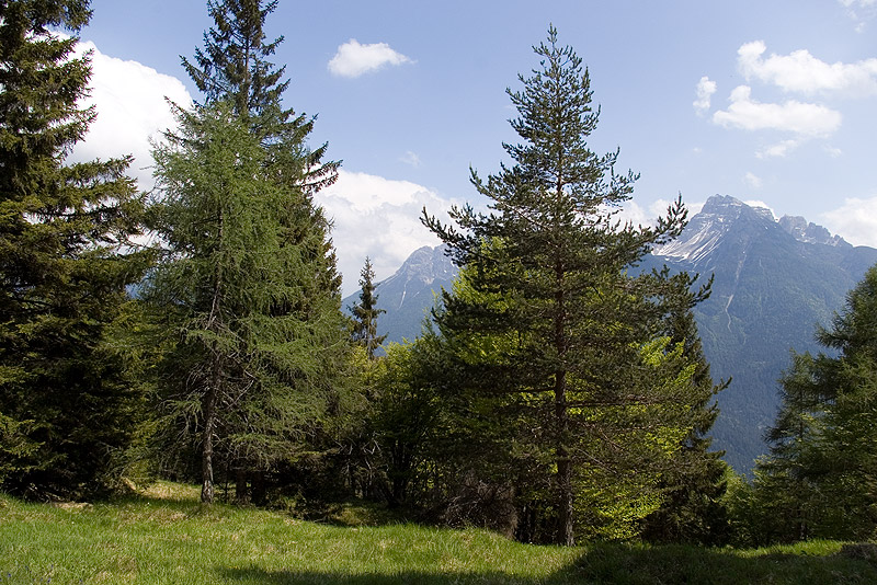 Passeggiata fino a Pr Pian